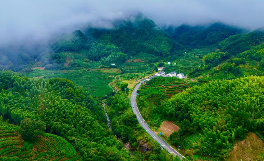 ���l(xi��ng)�� �gС·��һ�l ���ĺ��r(n��ng)��·�� �������I(y��)�B(t��i)